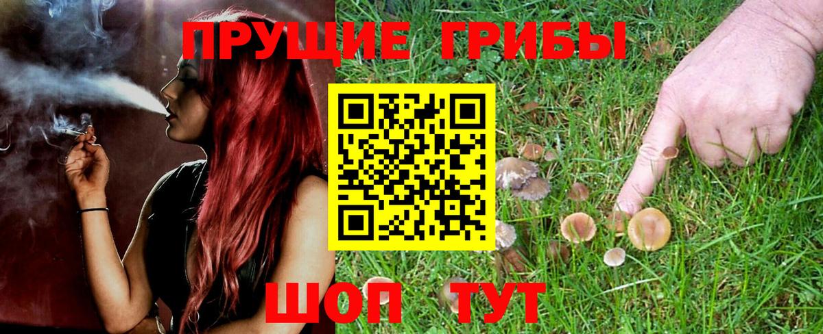 Казань  Галлюциногенные грибы Psilocybe  Вход с VPN 