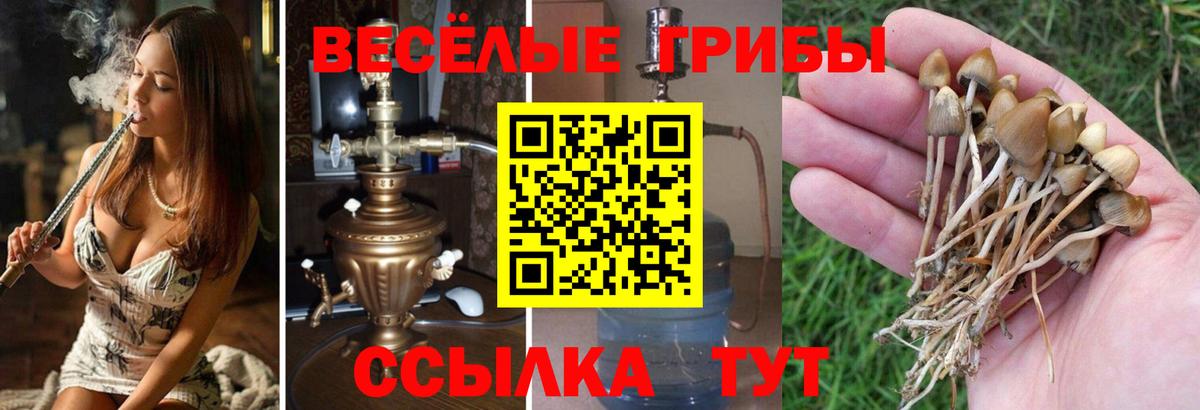 Галлюциногенные грибы Magic Shrooms Казань